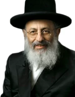 cropped-rabbi-twersky-1